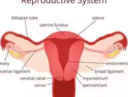 Hati-hati, Moms Juga Menopause Dini! Nomer 2 Biasa Dilakukan