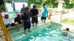 IMG_1639-748×500