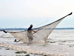 Kinerja DKP provinsi Kepri kurang maksimal