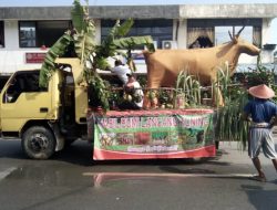 Meriahkan HUT Ke-73, Bintan Utara Gelar Karnaval Kenderaan Hias dan Pawai Rakyat