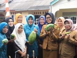 Kelurahan Batu IX Tampilkan Hatinya PKK