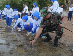 Lantamal IV Lepas Ratusan Tukik Ke Laut