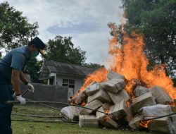Lantamal IV Musnahkan Rokok Ilegal Senilai Miliaran Rupiah