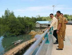 Bupati Bintan Meninjau Jembatam Penghubung Kampung Kemalai dan Kampung Belak