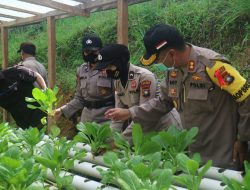 Jaga Ketahanan Pangan, Polres Lingga Budidaya Ikan Lele dan Bercocok Tanam