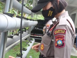 Polresta Barelang Budi Daya Sayur-sayuran