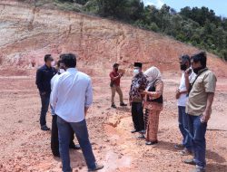 Hari Pers Nasional ke 75 tahun diperingati dengan penanaman Pohon
