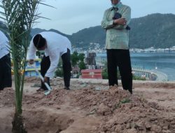 Gubernur Kepri Tanam Kurma Di Halaman Masjid Agung Baitul Makmur Tarempa