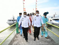 Gubernur Resmikan Aliran Listrik Masuk Desa di Karimun