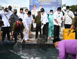 Gubernur Ingin Budidaya Ikan di Pangkil Jadi ‘Embrio’ Kebangkitan Budidaya Perikanan Kepri