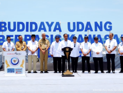 Presiden Jokowi Resmikan Tambak Budidaya Udang Berbasis Kawasan di Kebumen