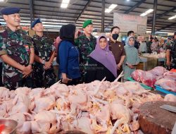 Disdagin: Kenaikan Harga Ayam Bukan Karena Ada Ekspor Ke Singapura