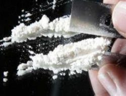 Gerebek Kamar Wisma Bintan Harmoni Tanjungpinang, Polisi Ringkus Pelaku dan Amankan 1,4 Kilo Kokain