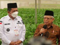 Wakil Presiden RI dan Gubernur Kepri Meninjau Pusat Pertanian Modern di Batam