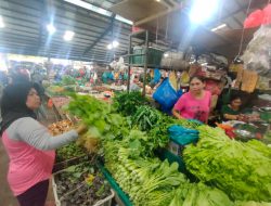 Harga Sayur Bayam di Tanjungpinang Naik