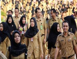 Mulai Dibuka September 2023, Cek Jadwal Pendaftaran Lengkap CPNS dan PPPK