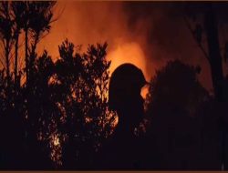 Dalam Sehari Tiga Lahan di Tanjungpinang Terbakar