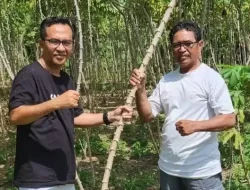 Ketua Komisi II DPRD Kepri Dorong Pemprov Berikan Alsintan untuk Petani