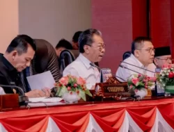 Asmin Patros Pimpin Ketua Pansus Ranperda FP4GNPN DPRD Kepri