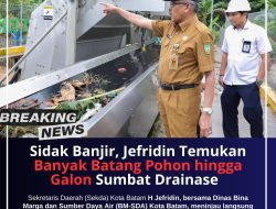Tinjau Lokasi Banjir, Sekda Batam Sebutkan Akibat Banyak Batang Pohon dan Galon yang Menyumbat Drainase Hingga Memicu Banjir