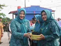Pj. Ketua PKK Efa Serahkan Bibit Cabai untuk Dukung Ketahanan Pangan dan Atasi Stunting