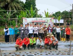 Dukung Asta Cita Presiden Prabowo, Polresta Tanjungpinang Tanam 1.000 Bibit Jagung