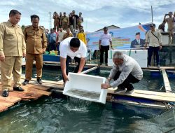 Bupati Roby Serahkan 40 Ribu Ekor Benih Kerapu Cantang dan 1.500 Teripang di Mantang