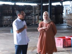 Sekretaris Komisi II DPRD Kepri Minta Pengaturan Jumlah Kelapa Ekspor, Singgung Kebutuhan Lokal