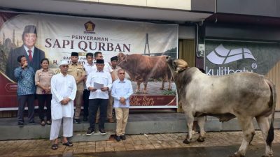 Berbagi Hari Raya Iduladha: Ketua DPRD Kepri, Iman Sutiawan Serahkan Sapi Kurban Bantuan Presiden untuk Masyarakat Kepri