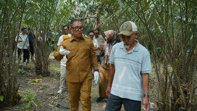 Wagub Nyanyang Dorong Salak Sari Intan Jadi Unggulan Pertanian Kepri