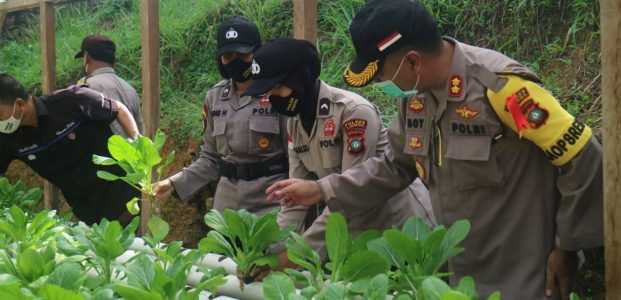 Jaga Ketahanan Pangan, Polres Lingga Budidaya Ikan Lele dan Bercocok Tanam Jaga Ketahanan Pangan, Polres Lingga Budidaya Ikan Lele dan Bercocok Tanam