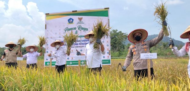 Kapolres Bintan Hadiri Launching Agrowisata Persawahan Dan Panen Padi Kapolres Bintan Hadiri Launching Agrowisata Persawahan Dan Panen Padi