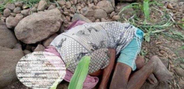 Diduga Kelaparan, Seorang Kakek 75 Tahun Meninggal, Jenazah Ditemukan di Tumpukan Batu Diduga Kelaparan, Seorang Kakek 75 Tahun Meninggal, Jenazah Ditemukan di Tumpukan Batu